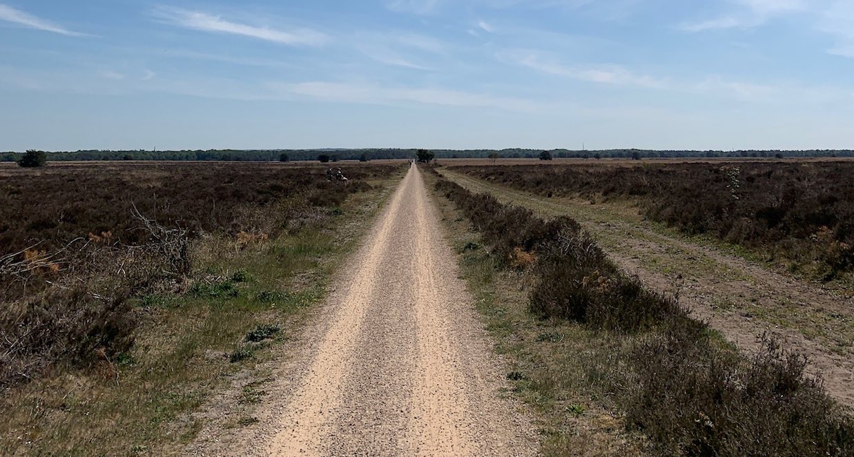 gravel route op de veluwe